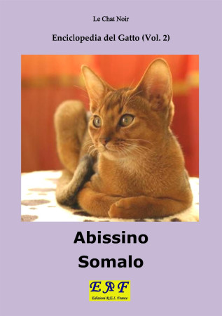 Abissino -Somalo